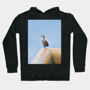 Double-Crested Cormorant II Hoodie